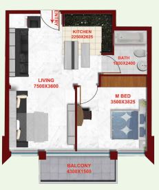 layout
