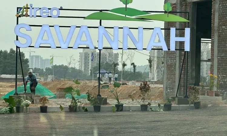 Ireo Savannah
