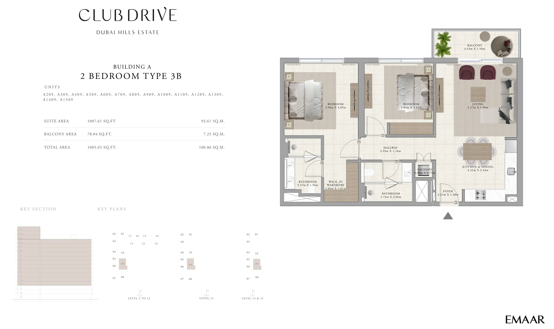 layout