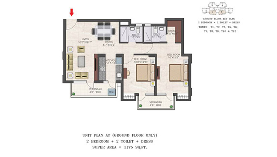 layout