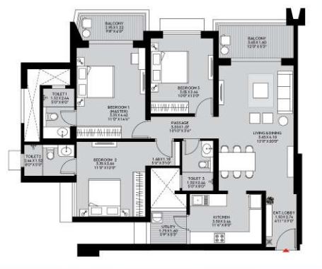 layout