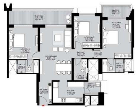 layout