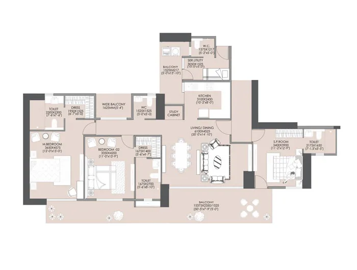 layout