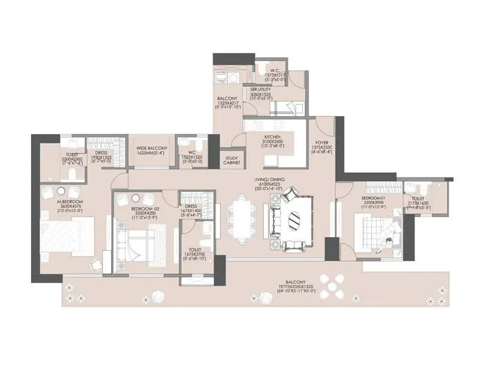 layout