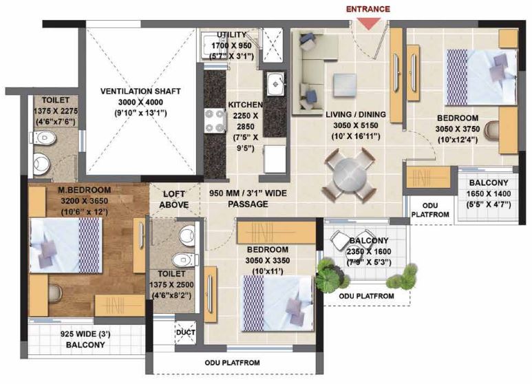 layout