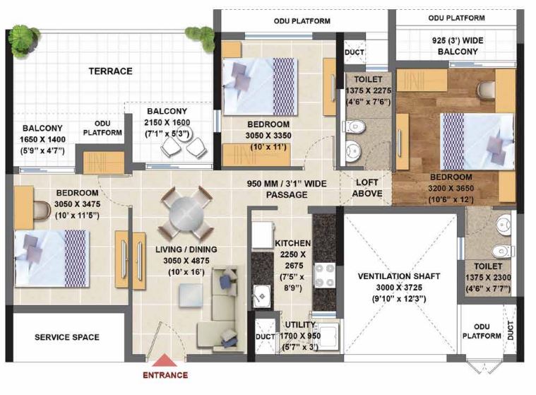 layout