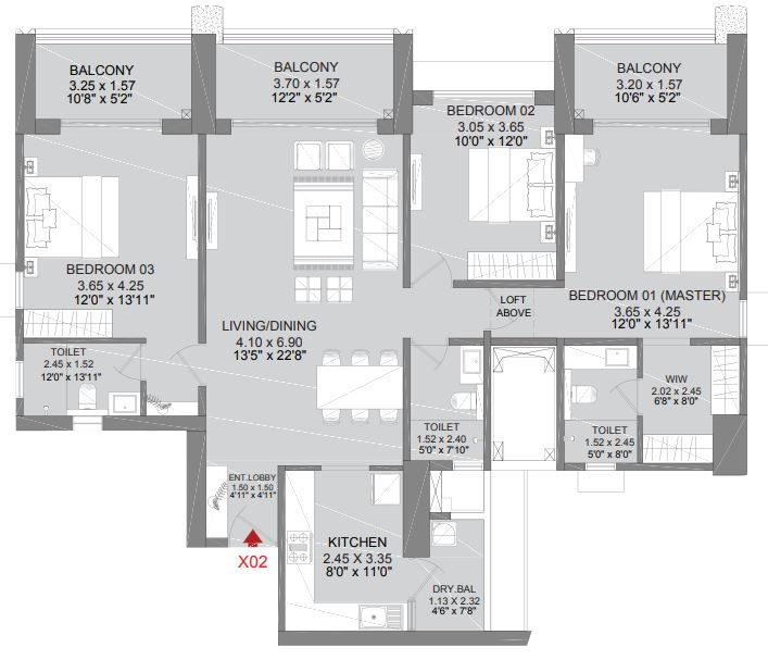 layout