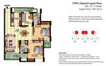 layout