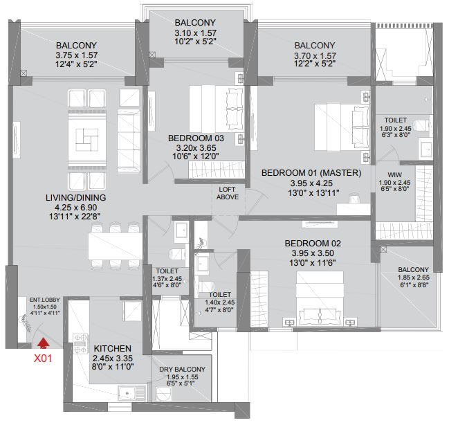 layout