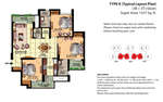 layout