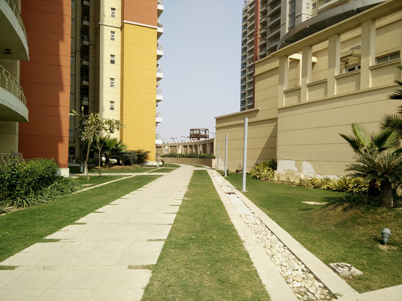 THE RESORT - Project Image 4