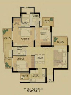 layout
