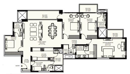 layout