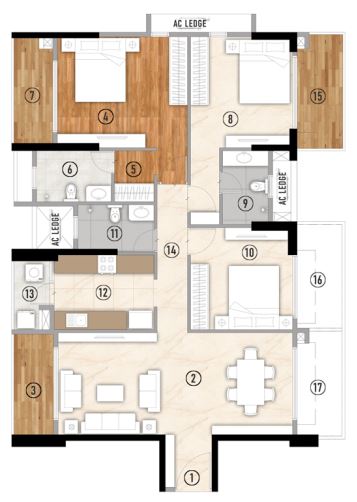 layout