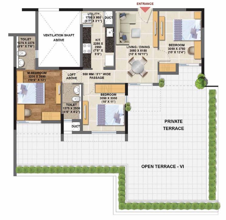 layout