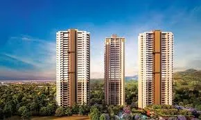 Silver glades the legacy