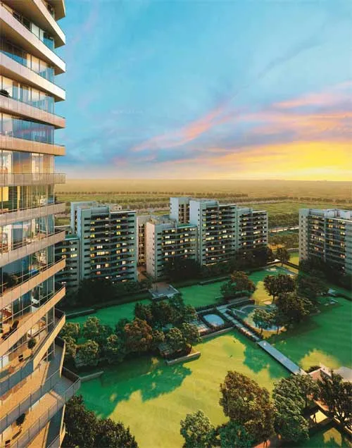 Ireo skyon