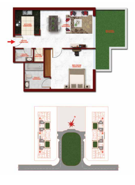 layout
