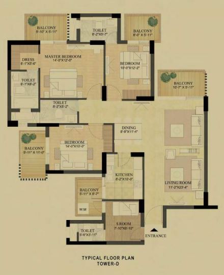 layout