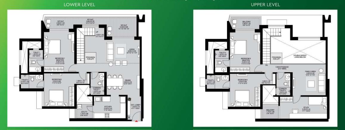 layout