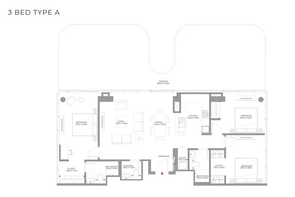 layout