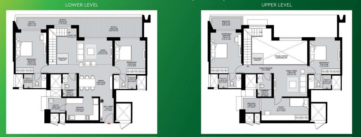layout
