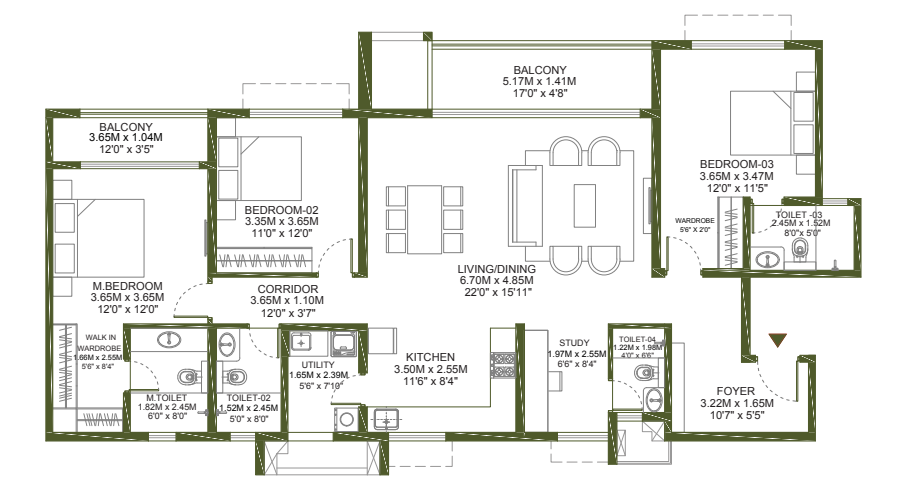 layout