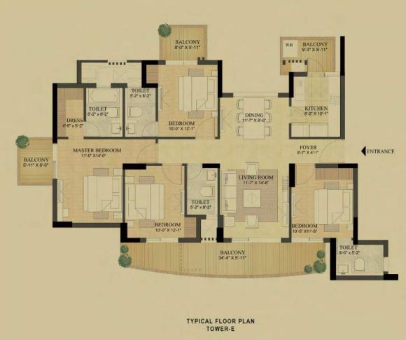 layout