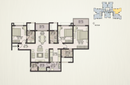 layout