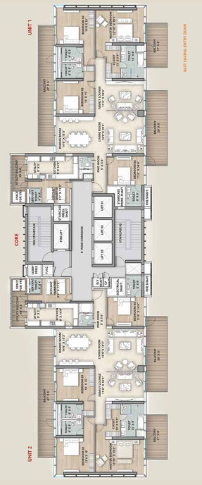 layout