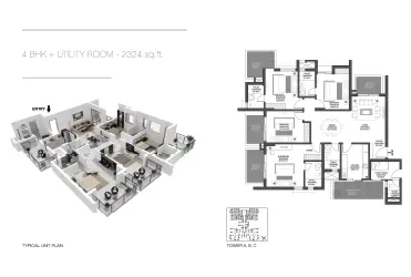 layout
