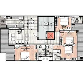 layout