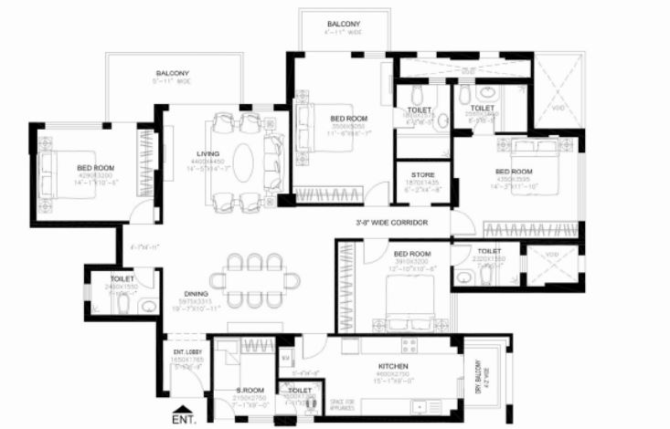 layout