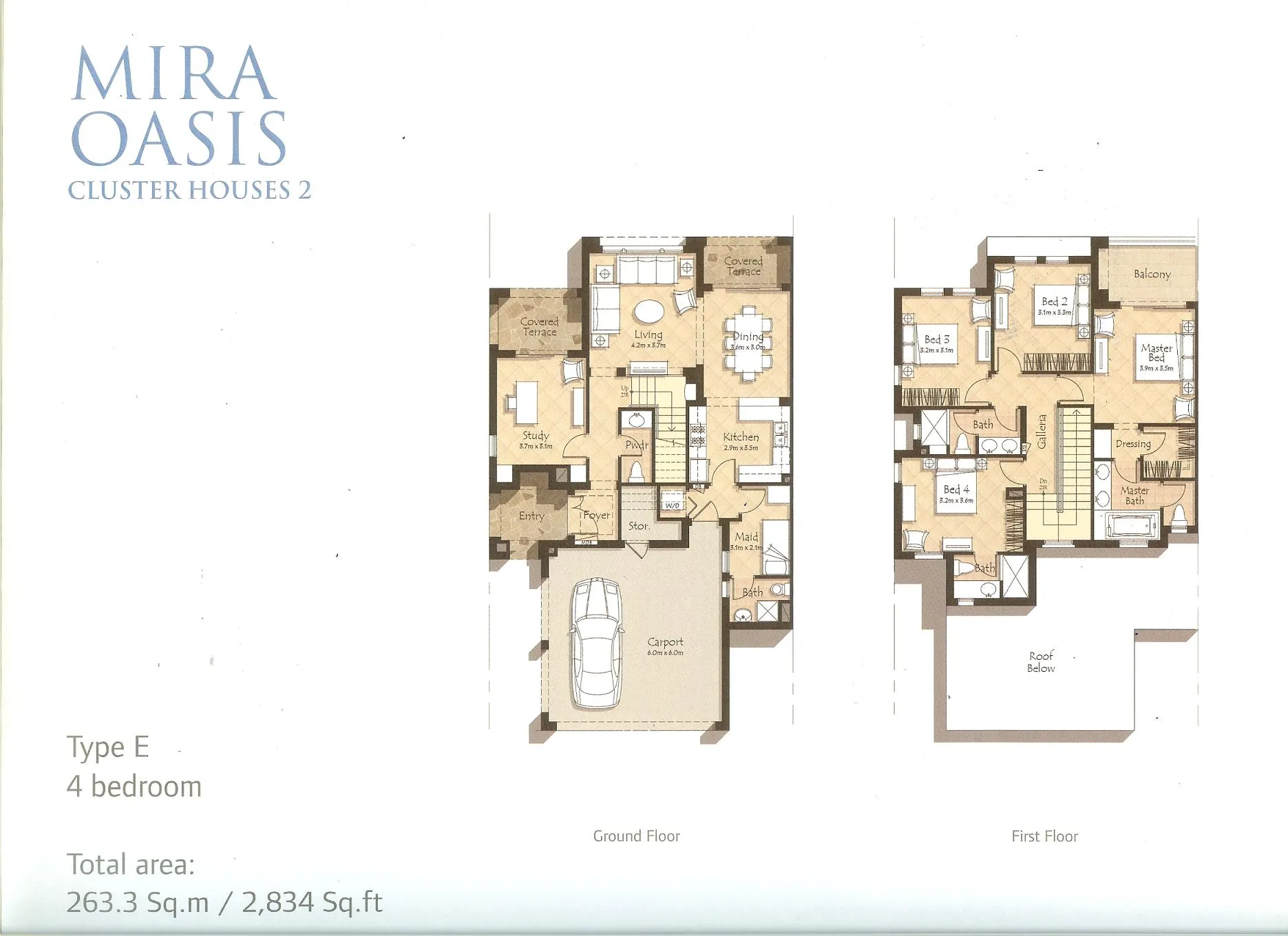 layout