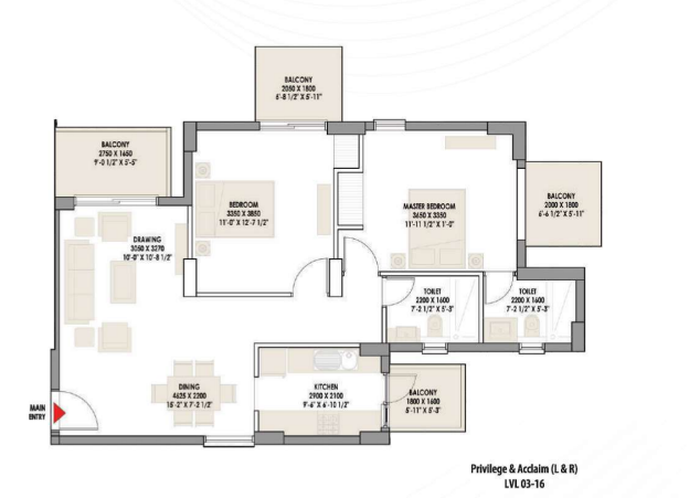 layout