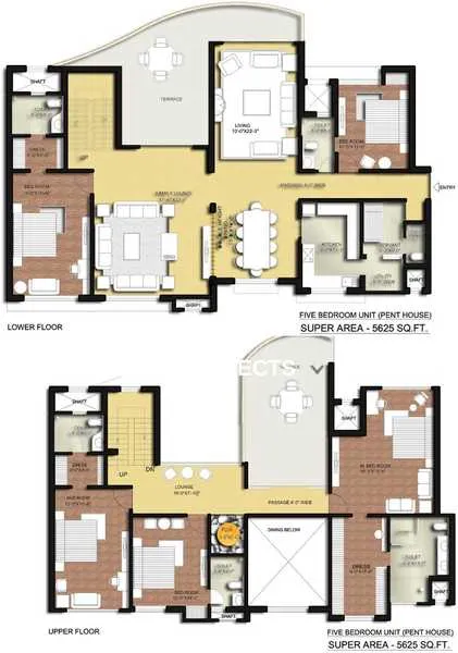 layout