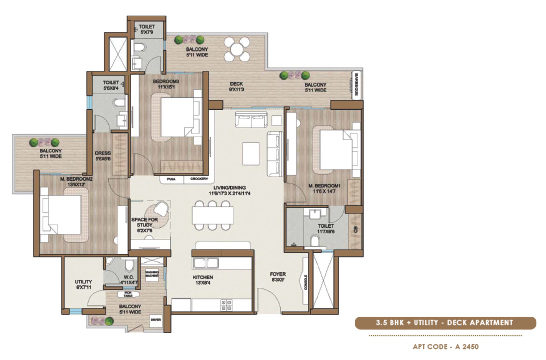 layout