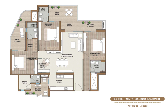 layout
