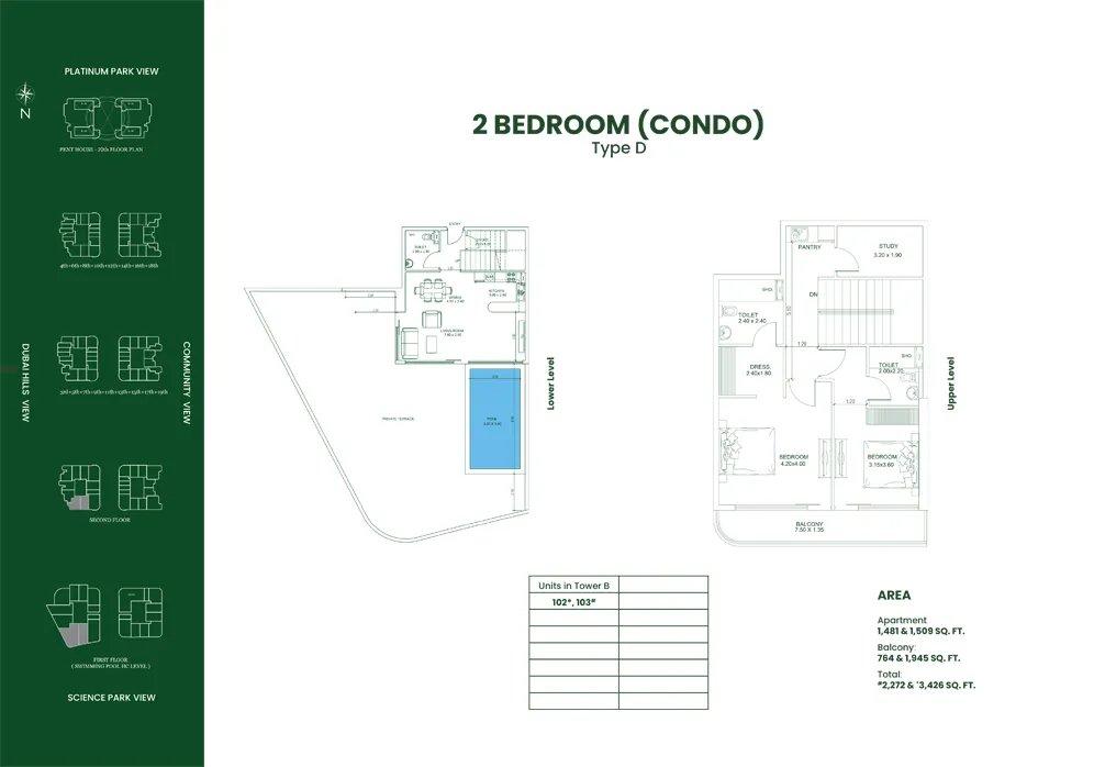 layout