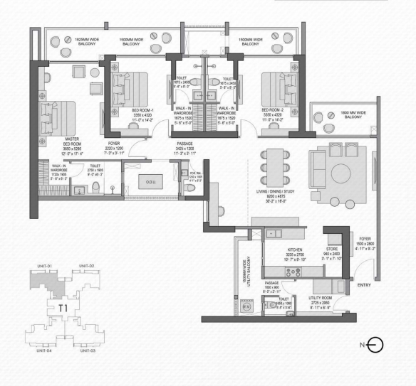 layout