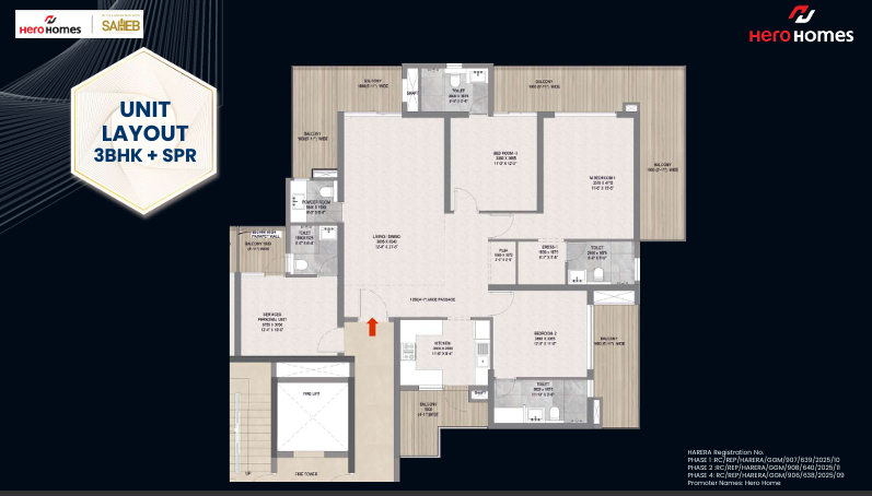 layout