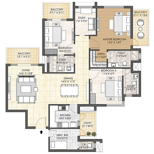 layout
