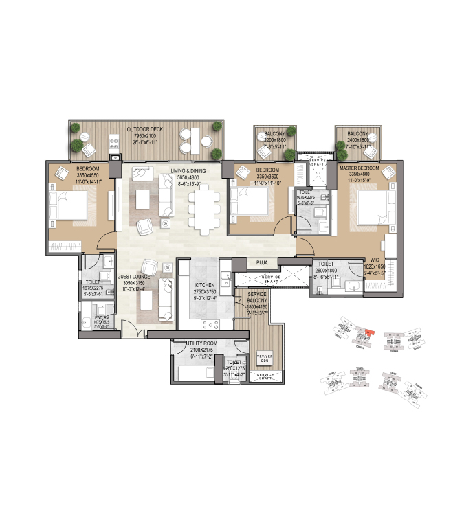 layout