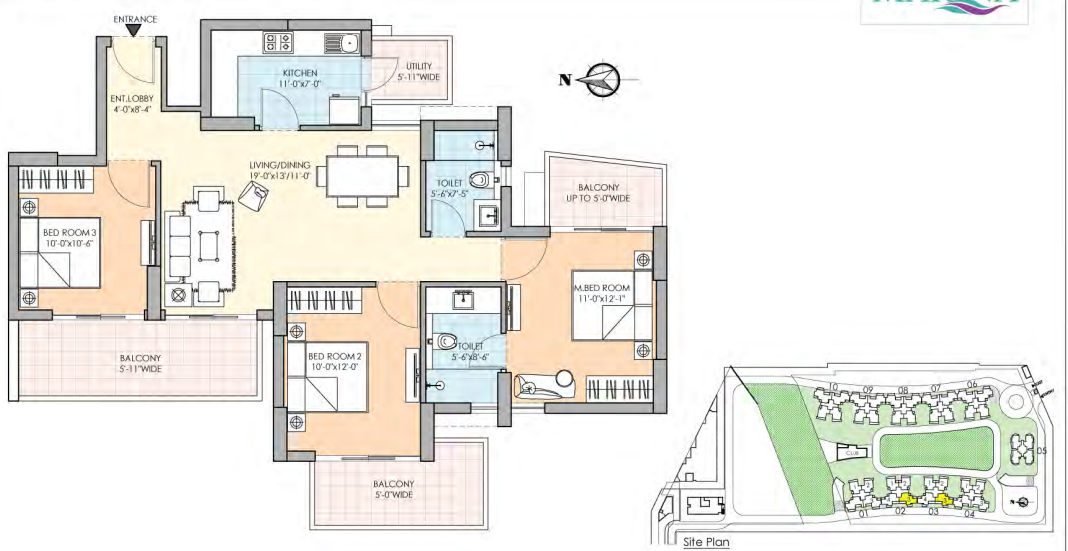 layout