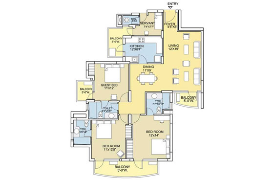 layout