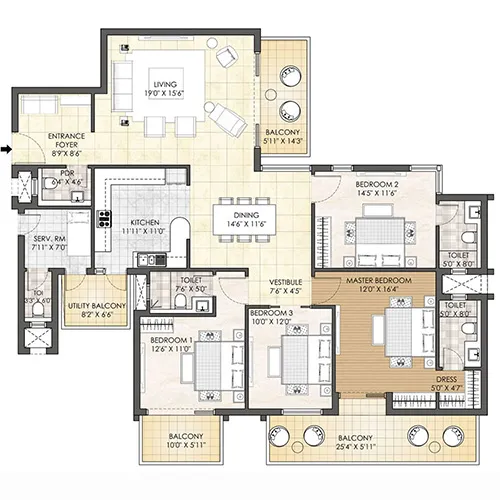 layout