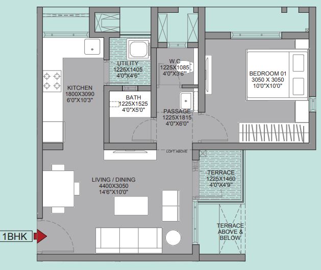 layout