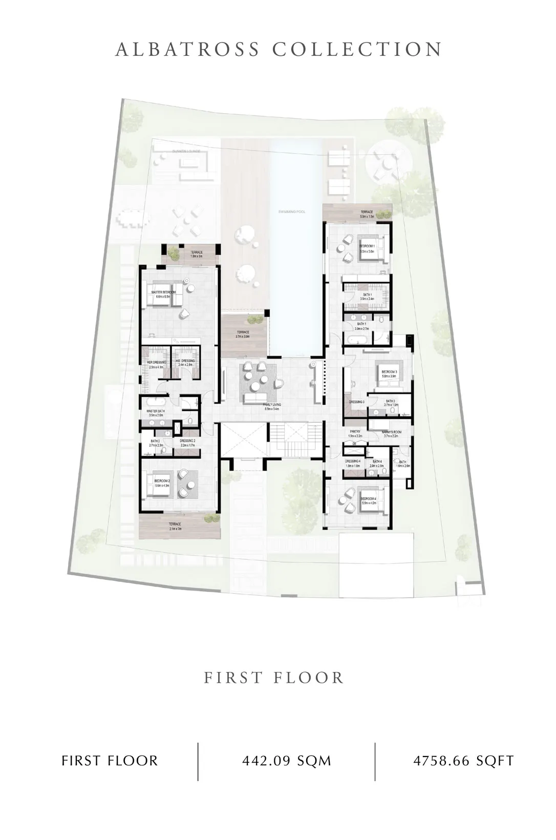 layout