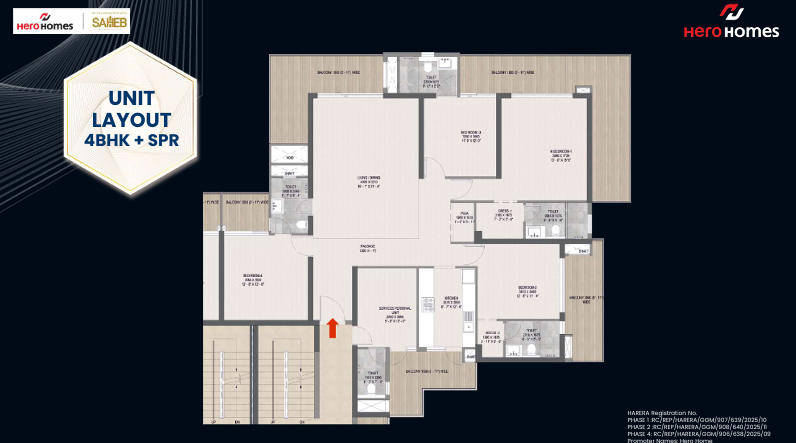 layout