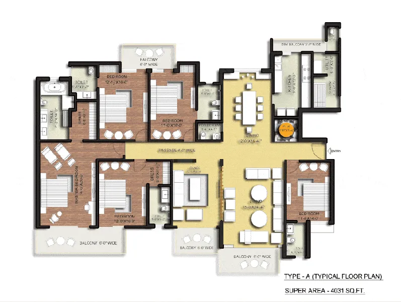 layout